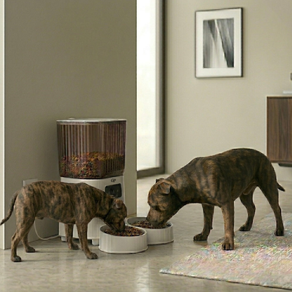 GuardiPaws™ Feedos™ Porta X Vision Duo