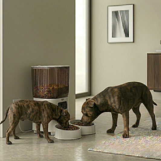 GuardiPaws™ Feedos™ Porta X Vision Duo