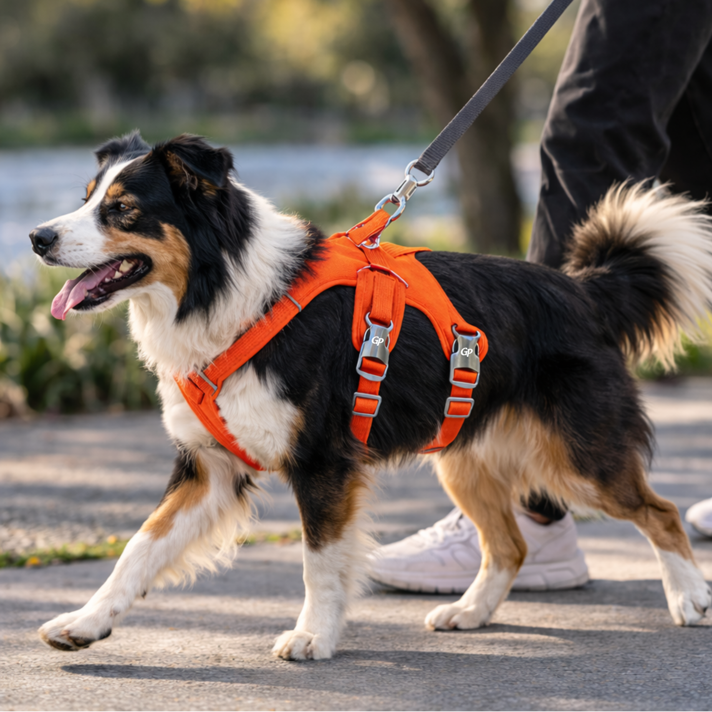 GuardiPaws™ Vanta™ Stride Dog Harness Orange