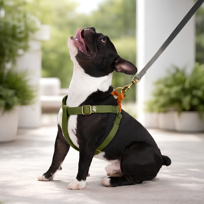GuardiPaws™ Vanta S™ Forge Dog Harness Green