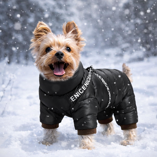 Glacien™ Snowsuit Harness