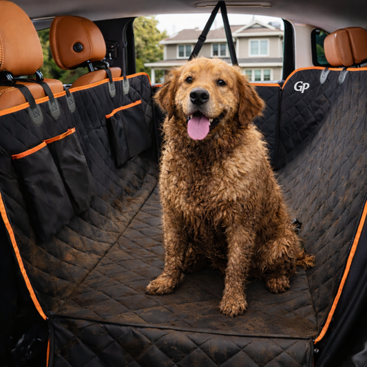 GuardiPaws™ Trovo™ Fortis 360 SUV