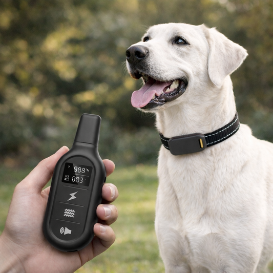 Aegis™ Command Collar