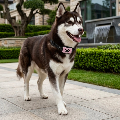 GuardiPaws™ Dolta™ Nexis Training System Pink