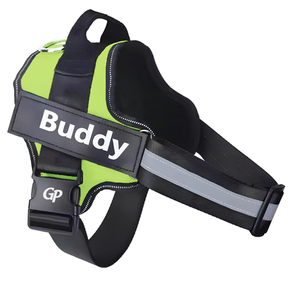 GuardiPaws™ Vanta X™ Bolt Custo Dog Harness Green