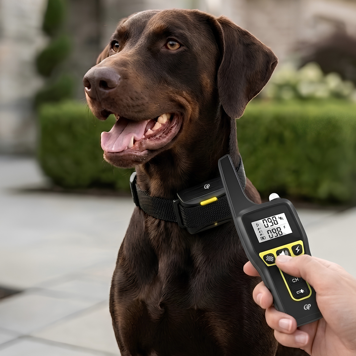 GuardiPaws™ Dolta™ Nexus Pro-Trainer Yellow