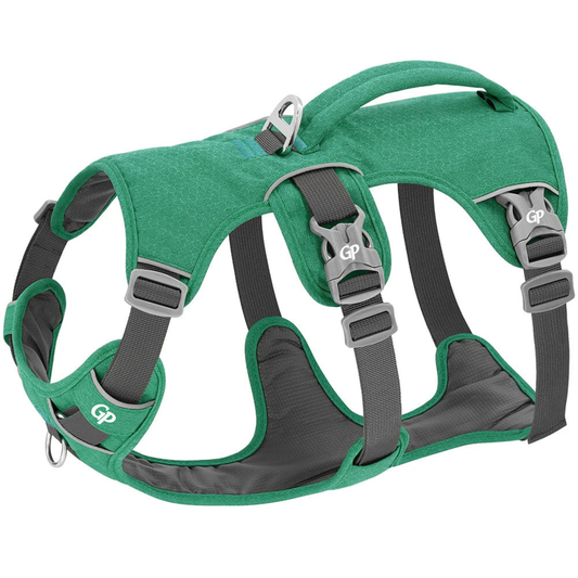 GuardiPaws™ Vanta™ Stride Dog Harness Green