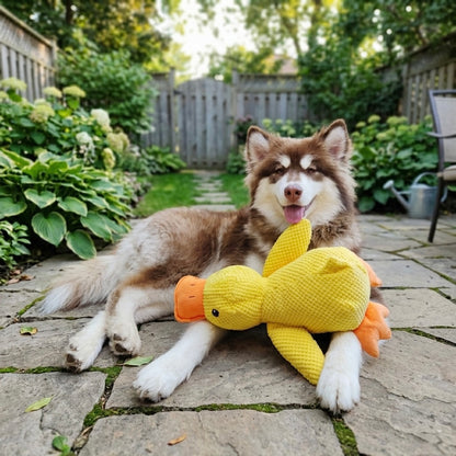 GuardiPaws™ Flingo™ Plush Dimbo The Hug Duck