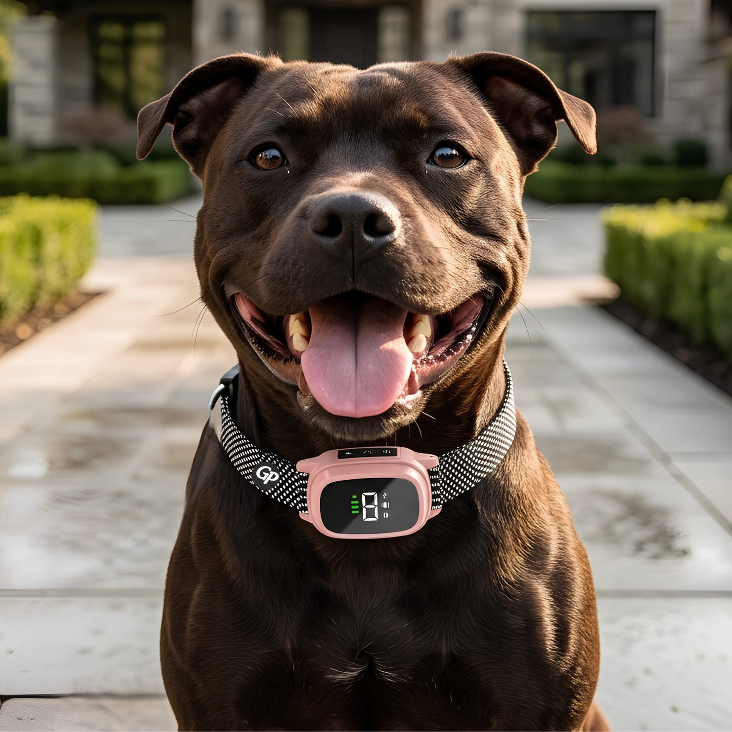 GuardiPaws™ Dolta™ Aura Calm Collar Pink