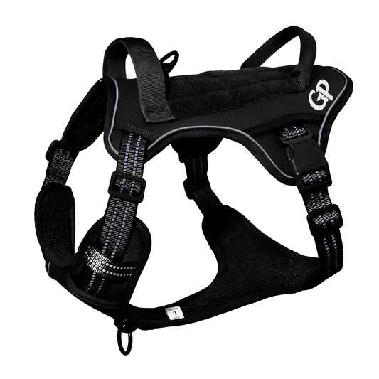 GuardiPaws™ Vanta X™ Dune Dog Harness Black