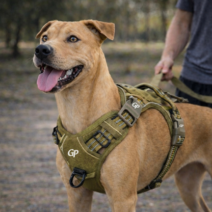 GuardiPaws™ Vanta X™ Valor Dog Harness Olive