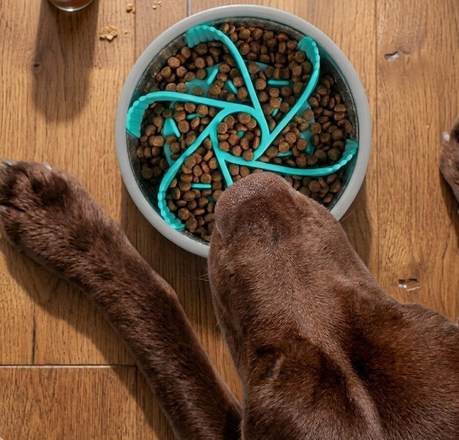 GuardiPaws™ Feedos™ Spiral Bowl Insert