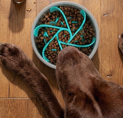 GuardiPaws™ Feedos™ Spiral Bowl Insert