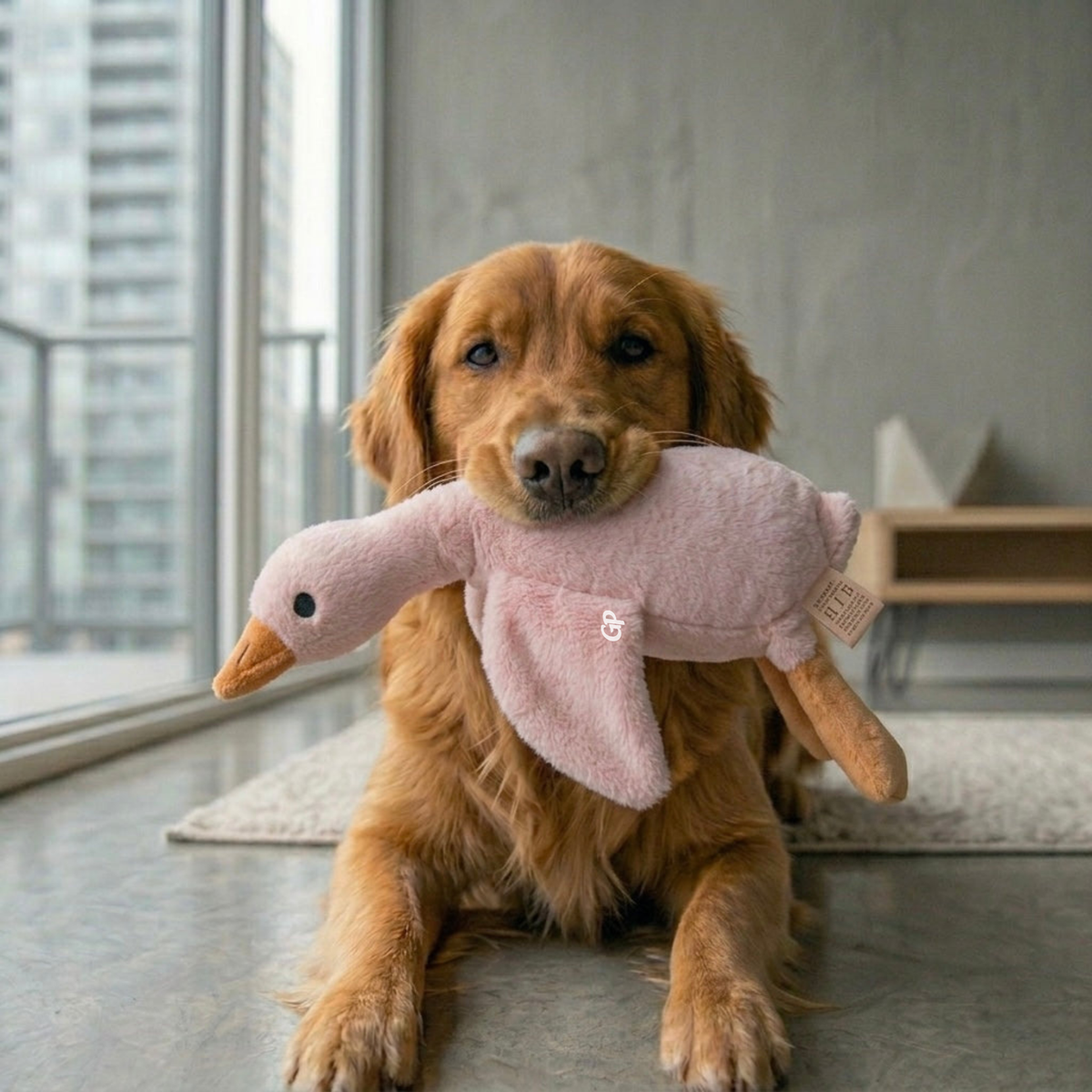 GuardiPaws™ Flingo™ Plush Bubba Dow Duck