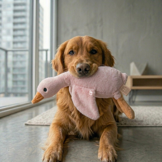 GuardiPaws™ Flingo™ Plush Bubba Dow Duck