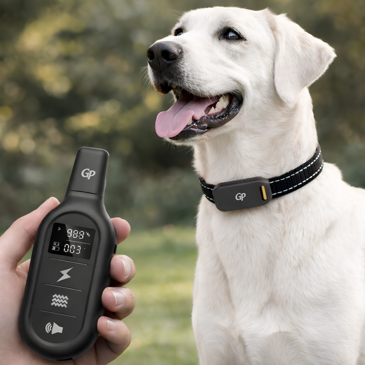 GuardiPaws™ Dolta™ Aegis Command Smart Dog Collar