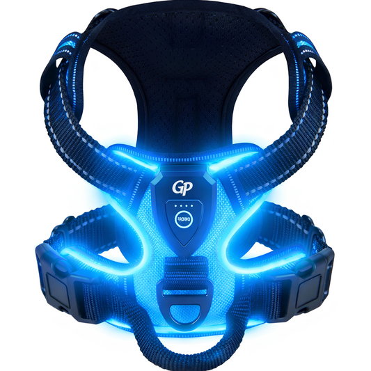 GuardiPaws™ Vanta X™ Illuminate Dog Harness Blue