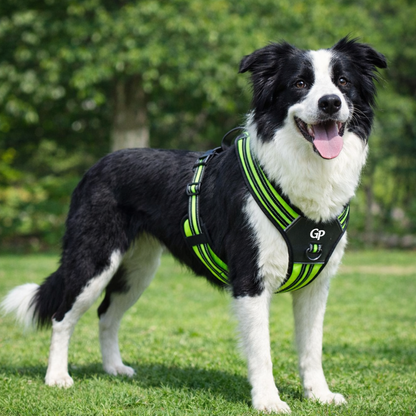 GuardiPaws™ Vanta X™ Flux Dog Harness Green