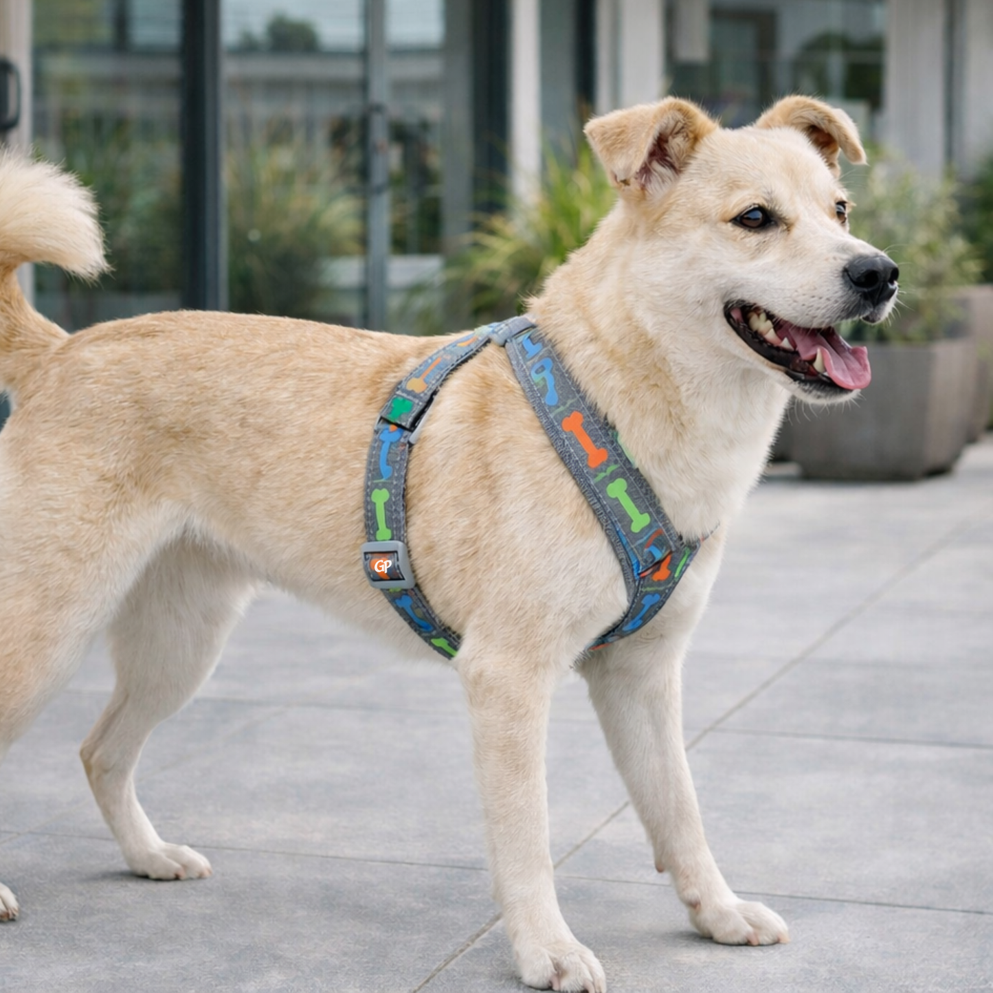 GuardiPaws™ Vanta™ Chew Dog Harness Gray