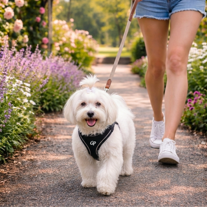 GuardiPaws™ Vanta S™ Bitty Harness Black
