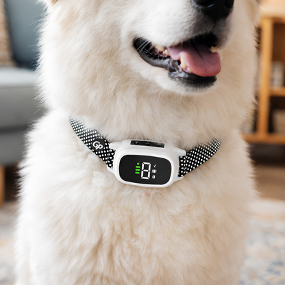GuardiPaws™ Dolta™ Aura Calm Collar White