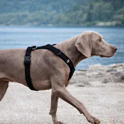 GuardiPaws™ Vanta™ Trek Dog Harness Black