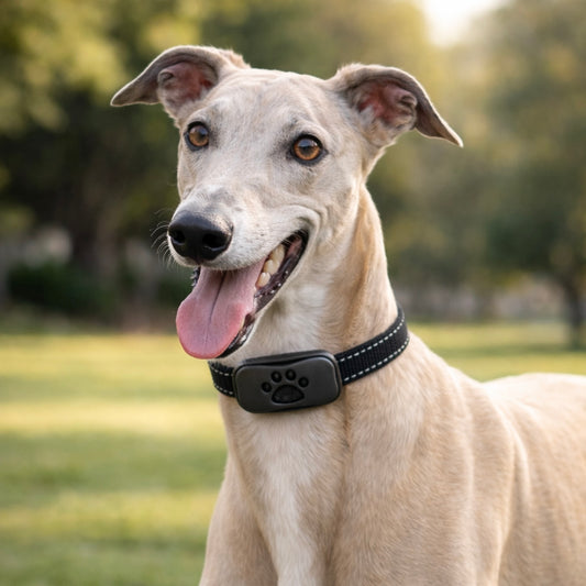 Nexis™ Training System