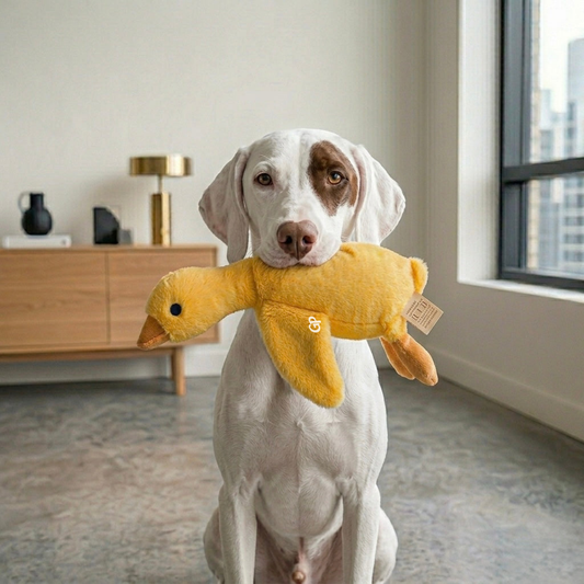 GuardiPaws™ Flingo™ Plush Taffy Dow Duck