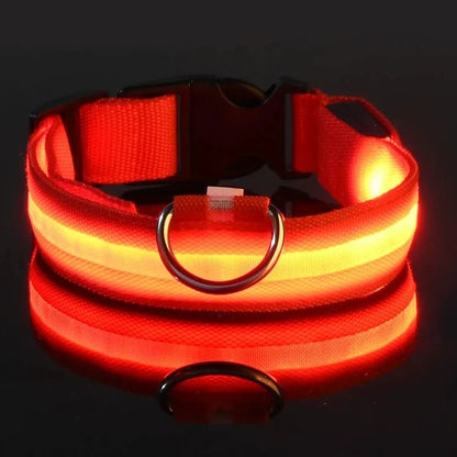 Gleam™ Night Walk Set