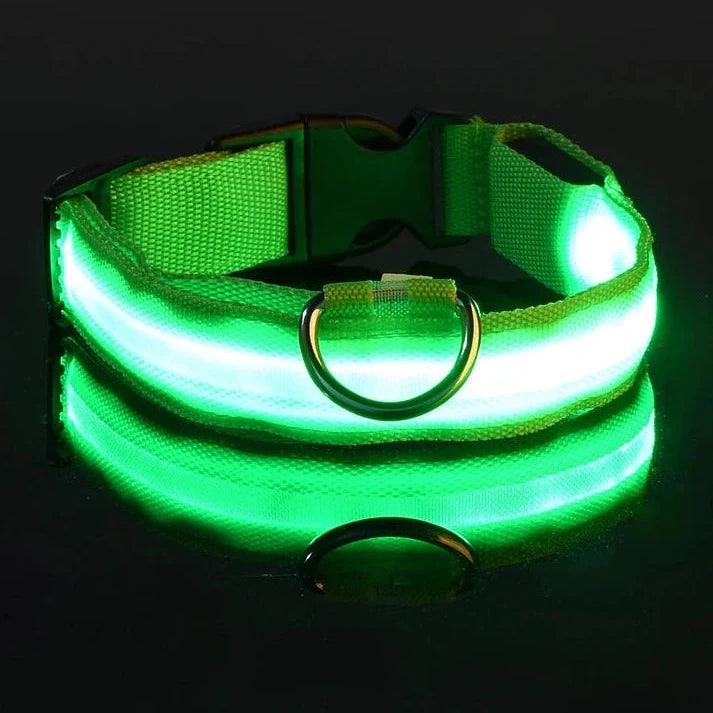 Gleam™ Night Walk Set