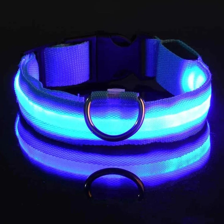 Gleam™ Night Walk Set