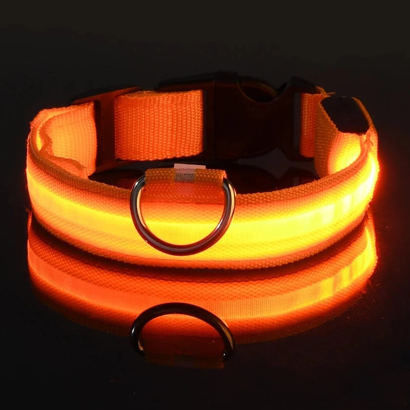 Gleam™ Night Walk Set