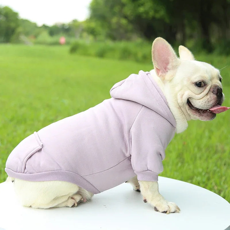 GuardiPaws™ Velari™ Essential Hoodie Purple