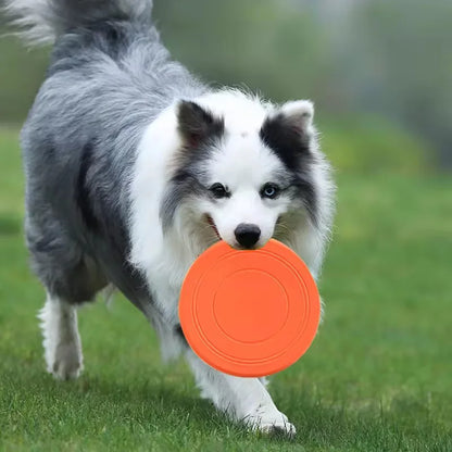 GuardiPaws™ Flingo™ Fetch Bendy Frisbee