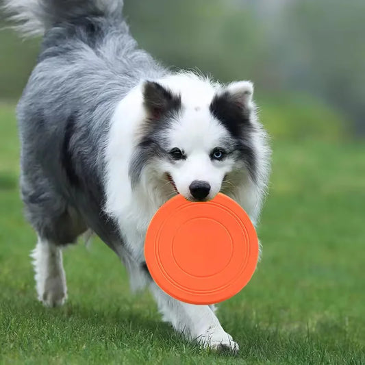 GuardiPaws™ Flingo™ Fetch Bendy Frisbee