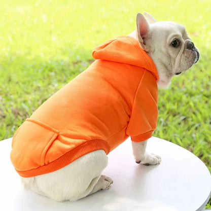 GuardiPaws™ Velari™ Essential Hoodie Orange