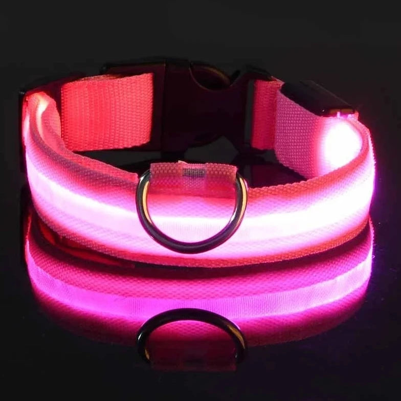 Gleam™ Night Walk Set