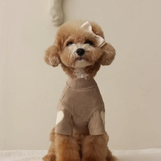 GuardiPaws™ Velari™ Lovely Turtle Neck Long Sleeve Brown